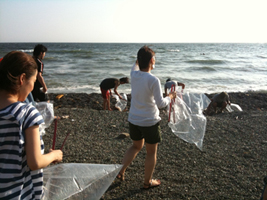 Beach Clean in HAYAMA